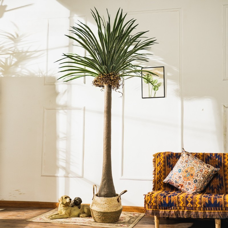 Real-Touch Dracaena Artificial - Baby Clothing Stores recension och pris